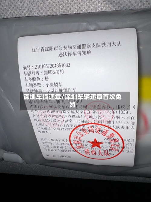 深圳车辆违章/深圳车辆违章首次免罚