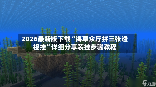 2026最新版下载“海草众厅拼三张透视挂”详细分享装挂步骤教程-第2张图片