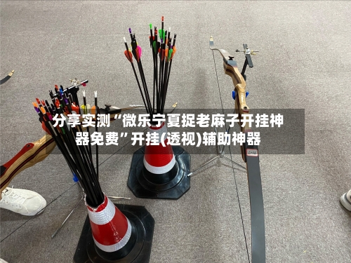 分享实测“微乐宁夏捉老麻子开挂神器免费”开挂(透视)辅助神器-第2张图片