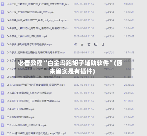 必看教程“白金岛跑胡子辅助软件	”(原来确实是有插件)-第2张图片