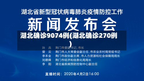 湖北确诊9074例(湖北确诊270例)