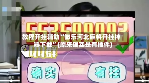 教程开挂辅助“微乐河北麻将开挂神器下载	”(原来确实是有插件)-第2张图片