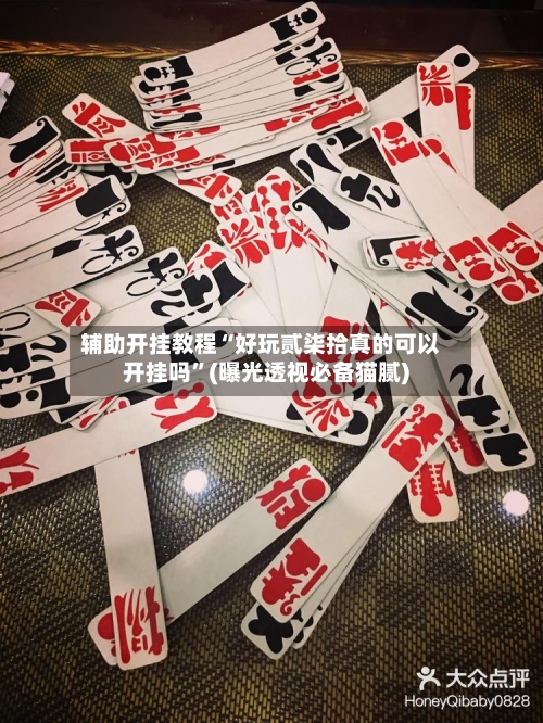 辅助开挂教程“好玩贰柒拾真的可以开挂吗”(曝光透视必备猫腻)