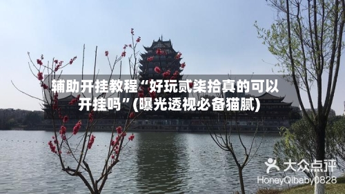 辅助开挂教程“好玩贰柒拾真的可以开挂吗”(曝光透视必备猫腻)-第2张图片