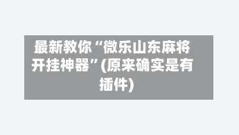 最新教你“微乐山东麻将开挂神器”(原来确实是有插件)-第2张图片