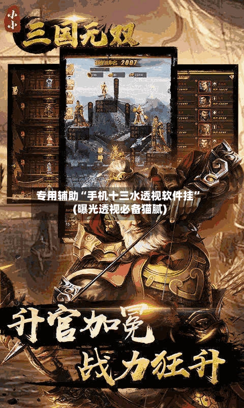 专用辅助“手机十三水透视软件挂”(曝光透视必备猫腻)-第3张图片