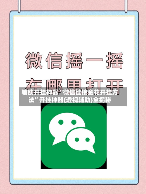 辅助开挂神器“微信链接金花开挂方法	”开挂神器{透视辅助}全揭秘-第3张图片
