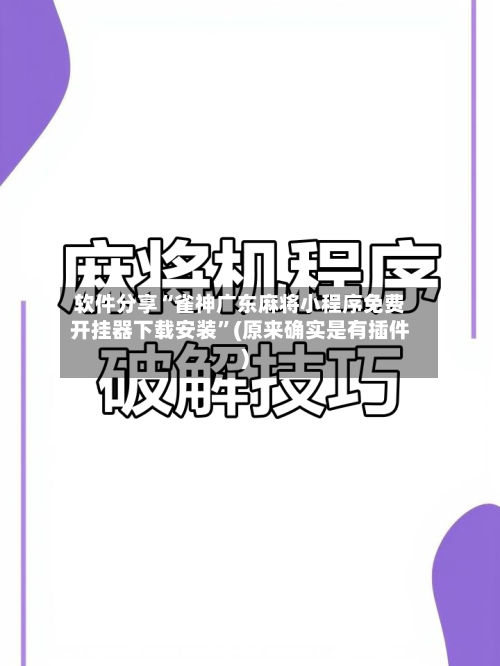 软件分享“雀神广东麻将小程序免费开挂器下载安装”(原来确实是有插件)-第3张图片