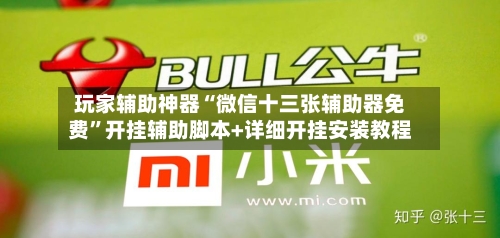 玩家辅助神器“微信十三张辅助器免费	”开挂辅助脚本+详细开挂安装教程-第3张图片