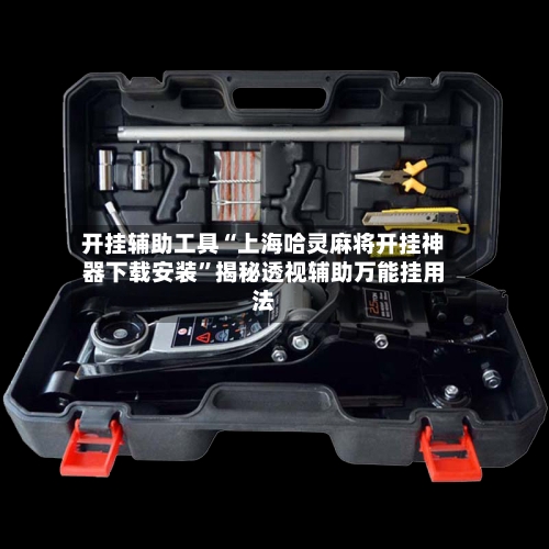 开挂辅助工具“上海哈灵麻将开挂神器下载安装”揭秘透视辅助万能挂用法-第3张图片