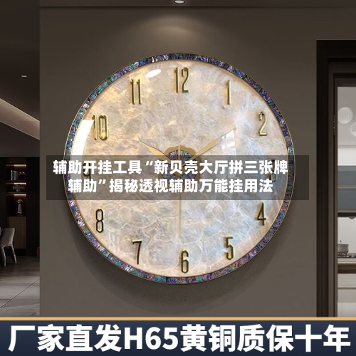 辅助开挂工具“新贝壳大厅拼三张牌辅助	”揭秘透视辅助万能挂用法-第3张图片