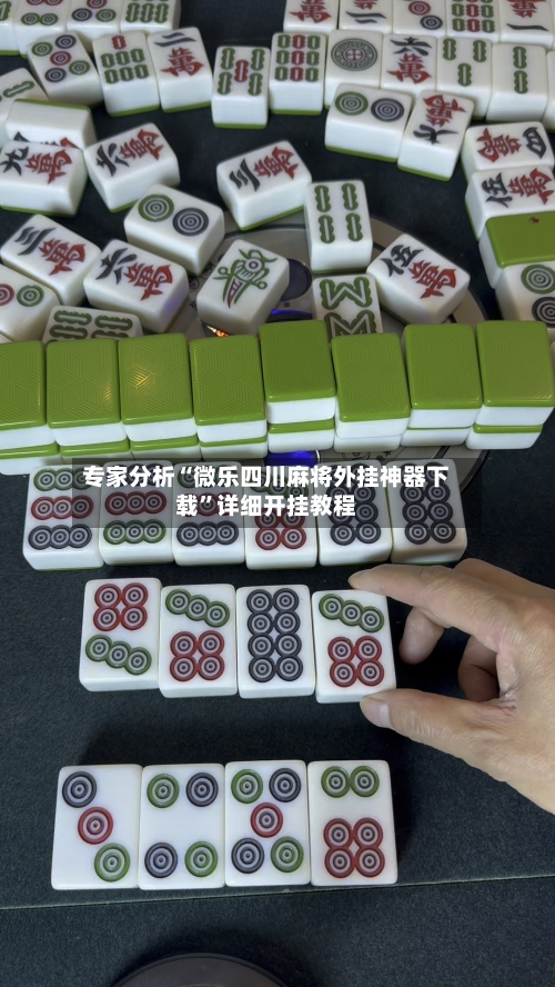 专家分析“微乐四川麻将外挂神器下载”详细开挂教程