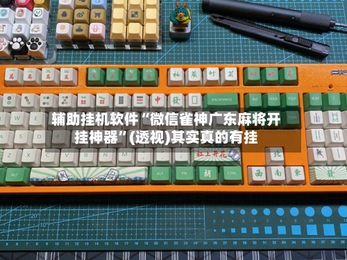 辅助挂机软件“微信雀神广东麻将开挂神器	”(透视)其实真的有挂-第2张图片