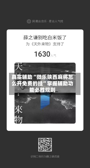 真实辅助“微乐陕西麻将怎么开免费的挂”掌握辅助功能必胜规则-第3张图片