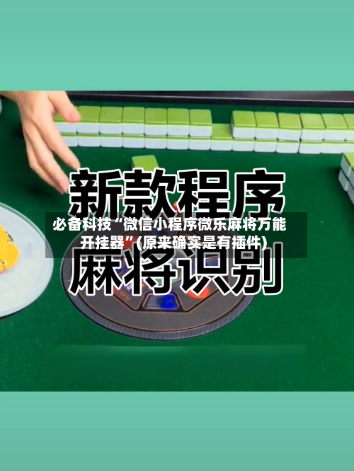 必备科技“微信小程序微乐麻将万能开挂器”(原来确实是有插件)-第3张图片