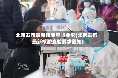 北京发布最新核酸查验要求(北京发布最新核酸查验要求通知)