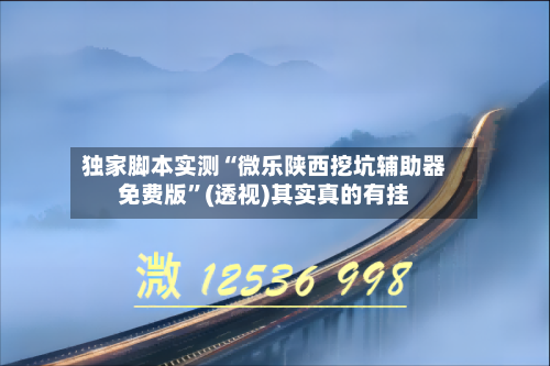 独家脚本实测“微乐陕西挖坑辅助器免费版”(透视)其实真的有挂-第2张图片