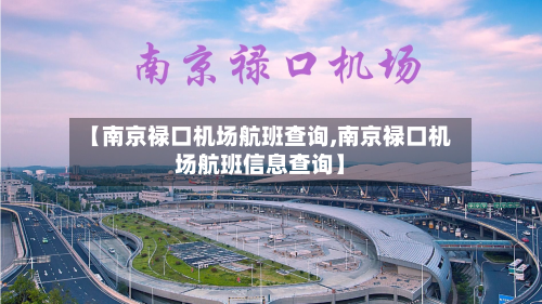 【南京禄口机场航班查询,南京禄口机场航班信息查询】