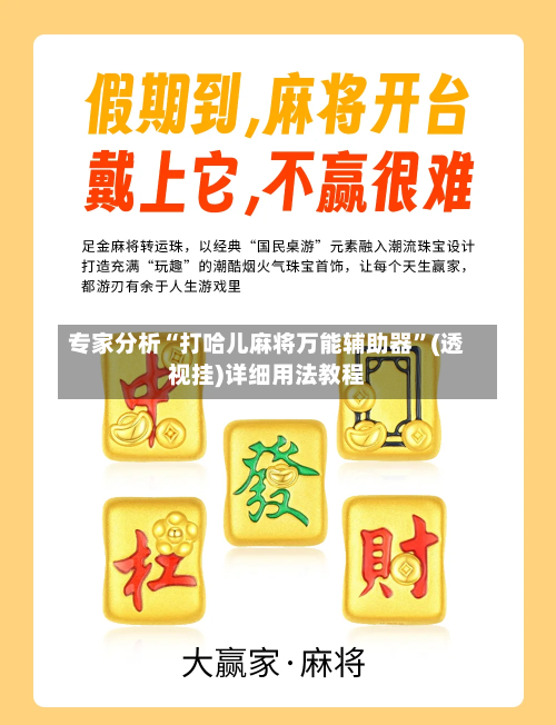 专家分析“打哈儿麻将万能辅助器”(透视挂)详细用法教程-第2张图片