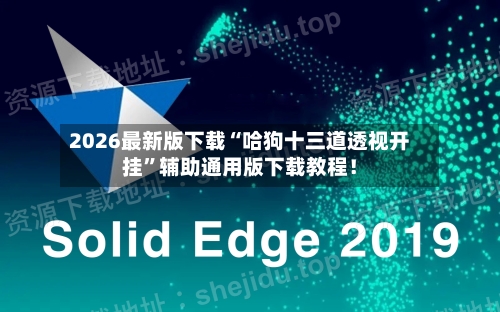 2026最新版下载“哈狗十三道透视开挂”辅助通用版下载教程！-第2张图片