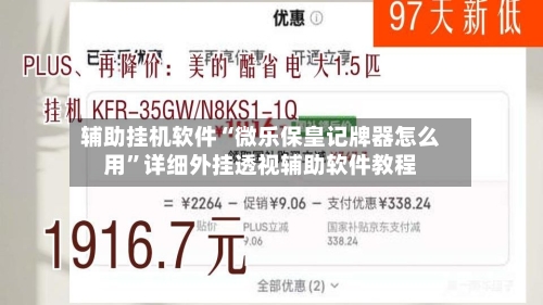 辅助挂机软件“微乐保皇记牌器怎么用”详细外挂透视辅助软件教程-第3张图片