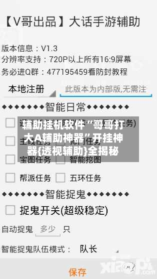 辅助挂机软件“哥哥打大A辅助神器”开挂神器{透视辅助}全揭秘-第2张图片