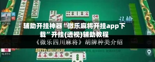 辅助开挂神器“微乐麻将开挂app下载”开挂(透视)辅助教程-第3张图片