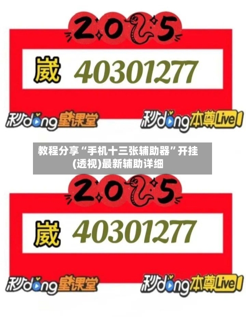 教程分享“手机十三张辅助器”开挂(透视)最新辅助详细-第2张图片