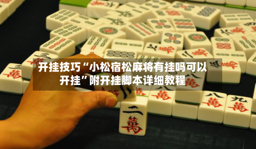 开挂技巧“小松宿松麻将有挂吗可以开挂”附开挂脚本详细教程-第2张图片