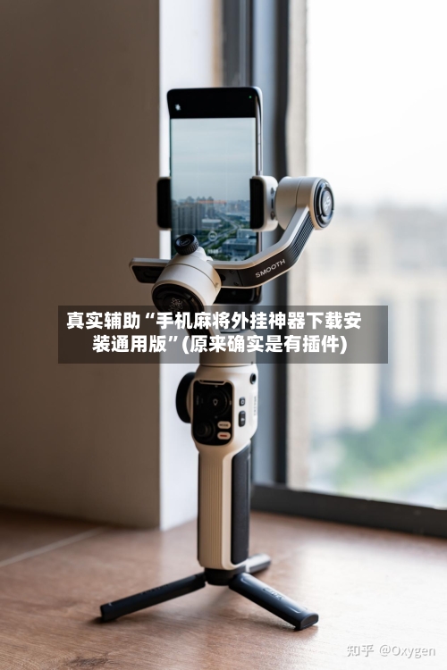 真实辅助“手机麻将外挂神器下载安装通用版”(原来确实是有插件)-第2张图片