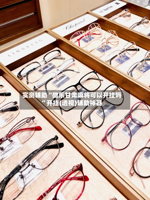 实测辅助“微乐甘肃麻将可以开挂吗”开挂(透视)辅助神器-第2张图片