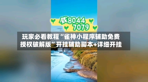 玩家必看教程“雀神小程序辅助免费授权破解版”开挂辅助脚本+详细开挂-第2张图片