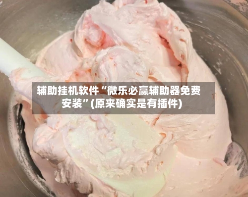 辅助挂机软件“微乐必赢辅助器免费安装	”(原来确实是有插件)-第3张图片