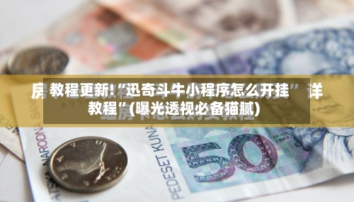 教程更新!“迅奇斗牛小程序怎么开挂教程”(曝光透视必备猫腻)-第3张图片