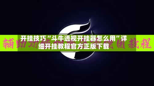 开挂技巧“斗牛透视开挂器怎么用”详细开挂教程官方正版下载-第2张图片
