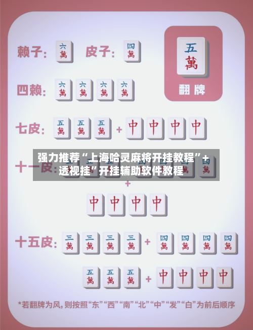 强力推荐“上海哈灵麻将开挂教程	”+透视挂”开挂辅助软件教程-第2张图片