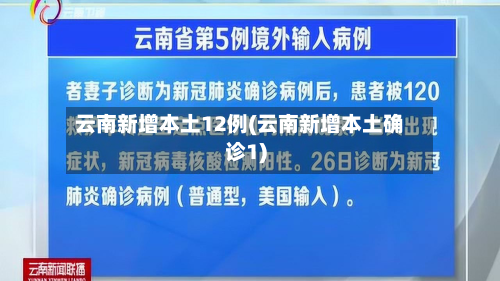 云南新增本土12例(云南新增本土确诊1)-第2张图片