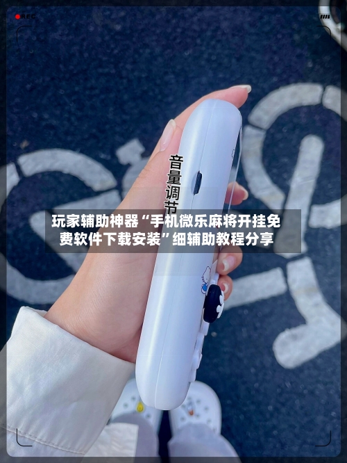 玩家辅助神器“手机微乐麻将开挂免费软件下载安装”细辅助教程分享-第2张图片
