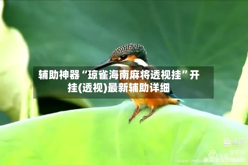 辅助神器“琼雀海南麻将透视挂”开挂(透视)最新辅助详细-第3张图片