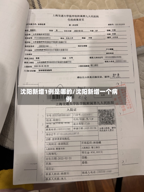 沈阳新增1例是哪的/沈阳新增一个病例