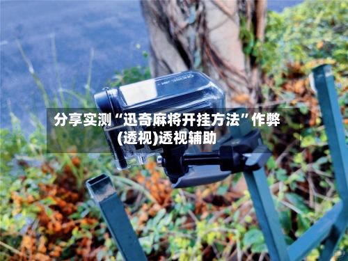 分享实测“迅奇麻将开挂方法”作弊(透视)透视辅助-第3张图片