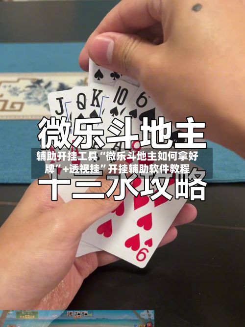 辅助开挂工具“微乐斗地主如何拿好牌”+透视挂”开挂辅助软件教程