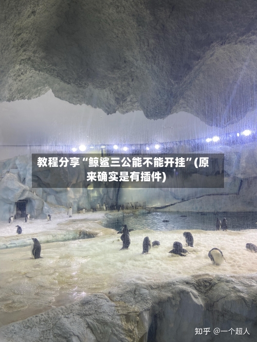 教程分享“鲸鲨三公能不能开挂	”(原来确实是有插件)-第2张图片