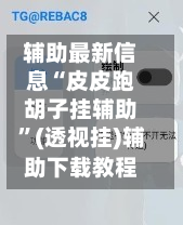 辅助最新信息“皮皮跑胡子挂辅助”(透视挂)辅助下载教程