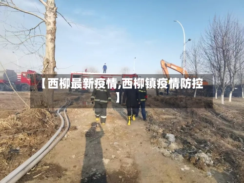 【西柳最新疫情,西柳镇疫情防控】