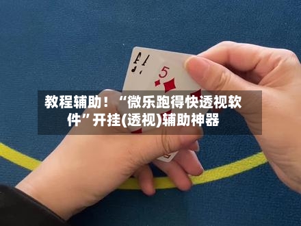 教程辅助！“微乐跑得快透视软件”开挂(透视)辅助神器-第3张图片