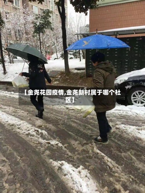【金尧花园疫情,金尧新村属于哪个社区】-第3张图片
