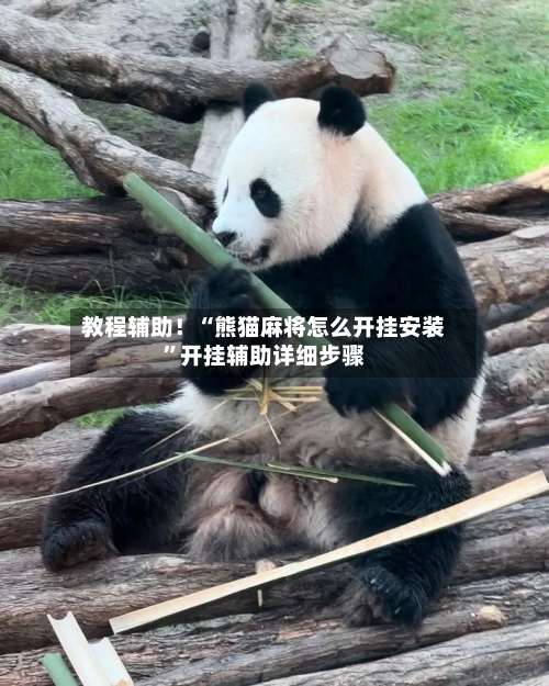 教程辅助！“熊猫麻将怎么开挂安装”开挂辅助详细步骤-第2张图片