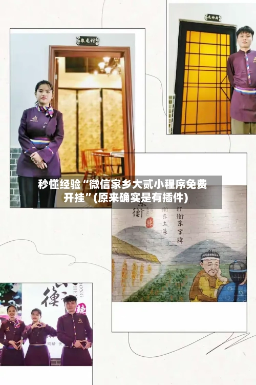 秒懂经验“微信家乡大贰小程序免费开挂”(原来确实是有插件)-第2张图片