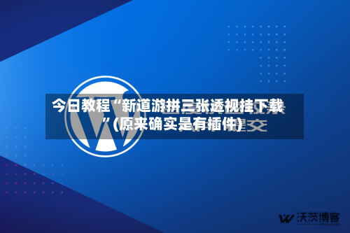 今日教程“新道游拼三张透视挂下载	”(原来确实是有插件)-第2张图片